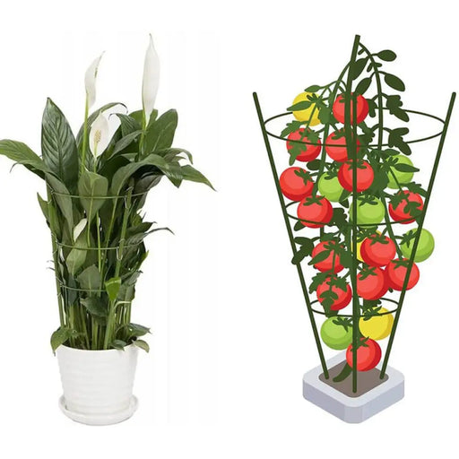 ОПОРА ЗА РАСТЕНИЯ 120CM BRADAS TYRP120