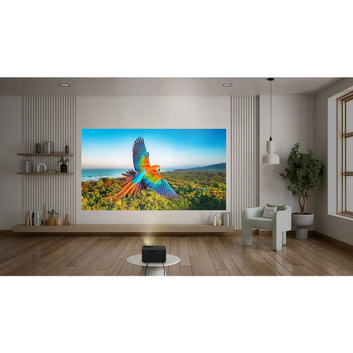 Optoma Photon Life PK32 Стандартен проектор 1100 ANSI