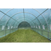 ОРАНЖЕРИЯ 8/3/2М 2 ВРАТИ И 16 ПРОЗОРЕЦА