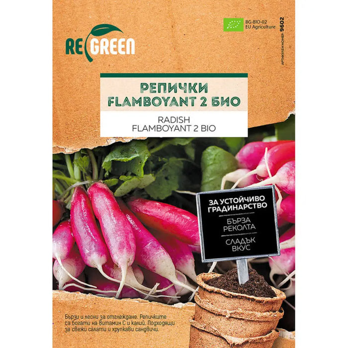 ОРГАНИЧНИ СЕМЕНА РЕПИЧКИ FLAMBOYANT 2 REGREEN