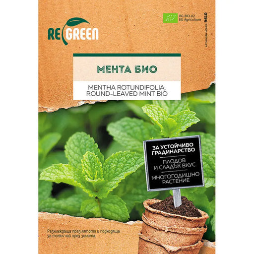 ОРГАНИЧНИ СЕМЕНА МЕНТА REGREEN
