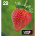 Оригиална касета за мастило Epson Multipack 4-colours 29