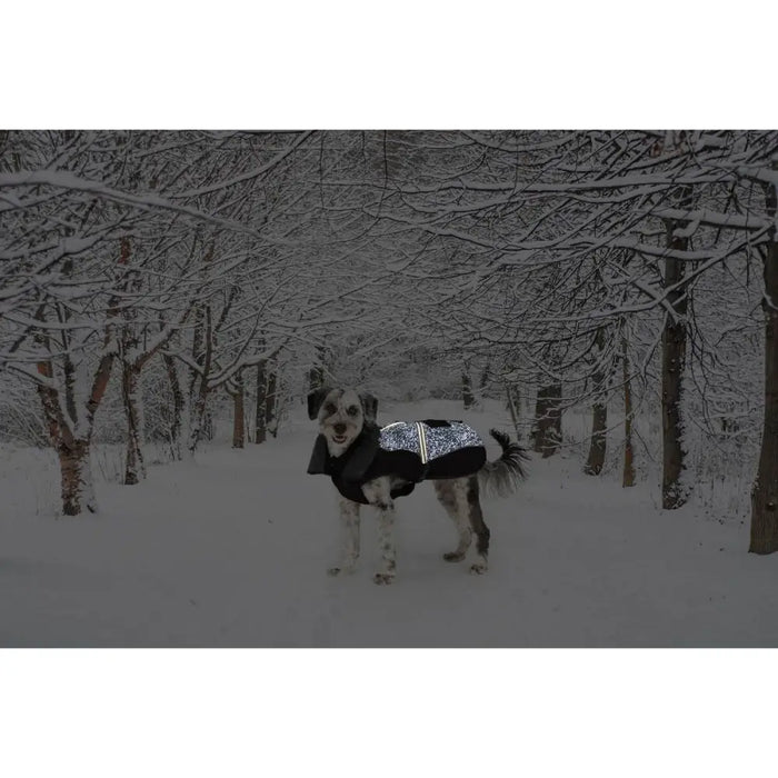 Палто за Куче Dog Gone Smart Черен 50 cm