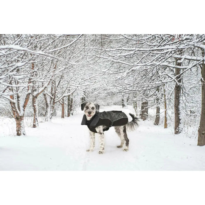 Палто за Куче Dog Gone Smart Черен 50 cm