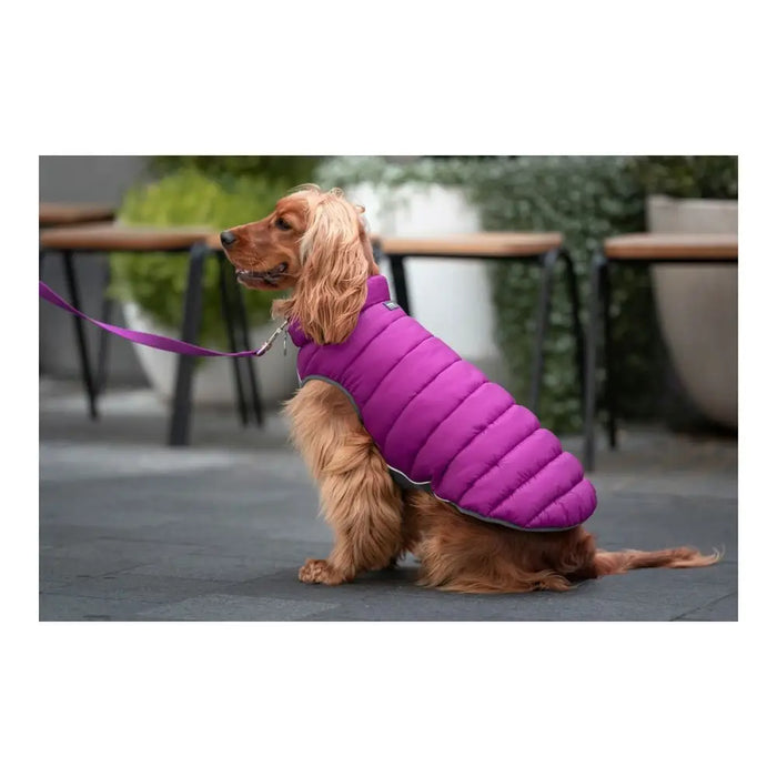 Палто за Куче Red Dingo Puffer Розов/Лилав 35 cm