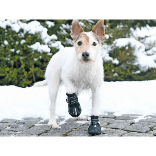 Палто за Куче Trixie 19461 Черен