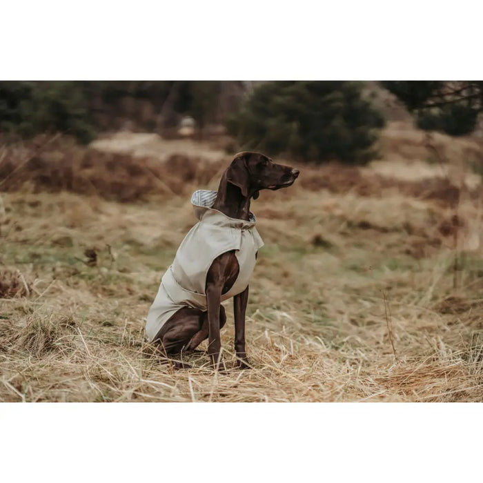 Палто за Куче Hunter Milford Бежов 50 cm