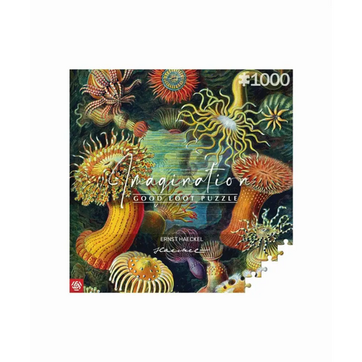 Пъзел за въображение: Ernst Haeckel Sea Creatures 1000