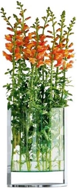 Ваза Philippi - Decade, 30 cm, стъкло с хромиран алуминий