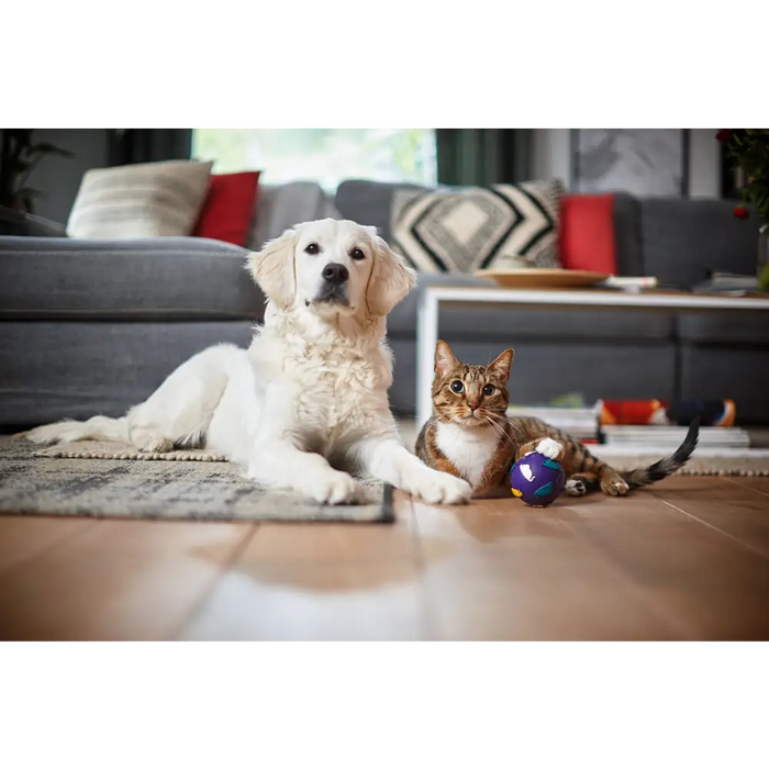 Philips PowerPro Expert FC9745/09 прахосмукачка 2 л