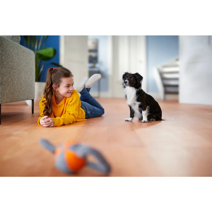 Philips PowerPro Expert FC9745/09 прахосмукачка 2 л