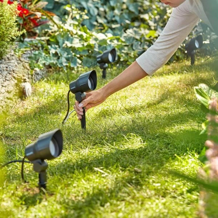 Лампа Philips Черен 12 V Топло Бяло 600 lm (1 броя)