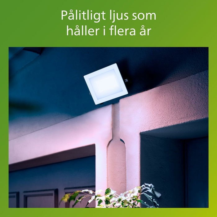 Фокус на Прожектор Philips Черен 30 W F (5000 K)