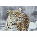 Пластно DKD Home Decor Пластно Дървен MDF 50 x 1,8 x 70 cm