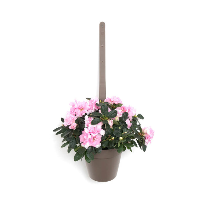 ПЛАСТМАСОВА САКСИЯ Ф18CM ЗА ЗАКАЧАНЕ PLASTECNIC MY MOOD VASO APP