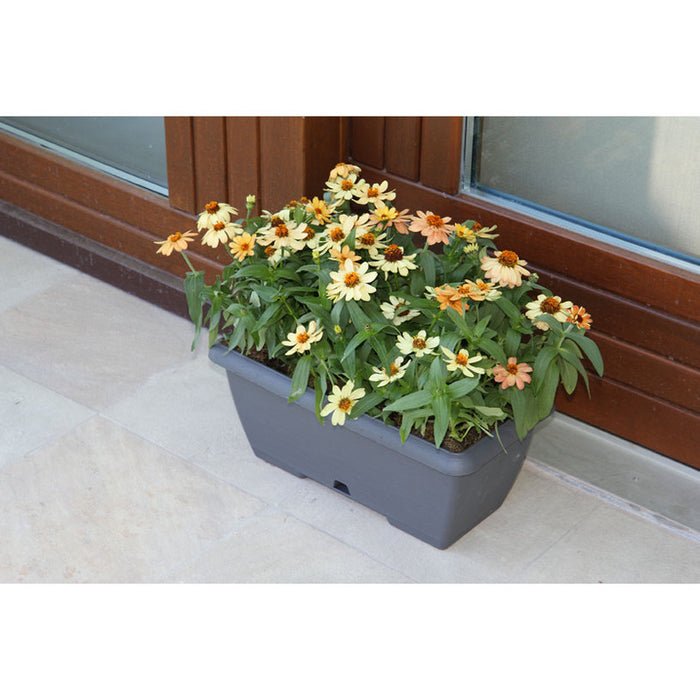 ПЛАСТМАСОВО САНДЪЧЕ 50CM PLASTECNIC TERRAE BOX