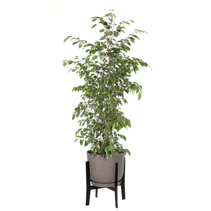 ПЛАСТМАСОВА КАШПA Ф30CM PLASTECNIC SWING POT 30