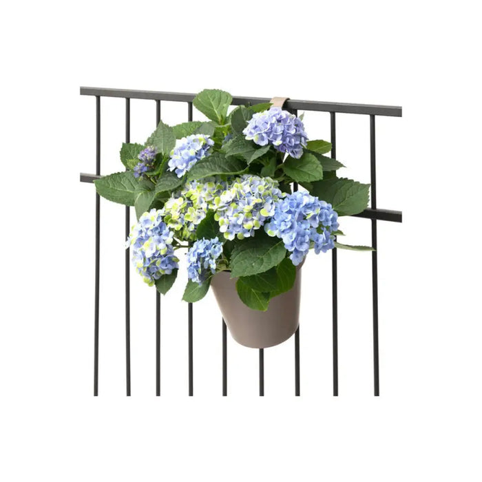 ПЛАСТМАСОВА САКСИЯ Ф18CM ЗА ЗАКАЧАНЕ PLASTECNIC MY MOOD
