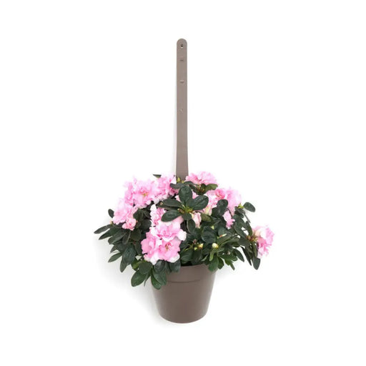 ПЛАСТМАСОВА САКСИЯ Ф18CM ЗА ЗАКАЧАНЕ PLASTECNIC MY MOOD