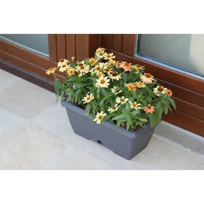 ПЛАСТМАСОВО САНДЪЧЕ 50CM PLASTECNIC TERRAE BOX