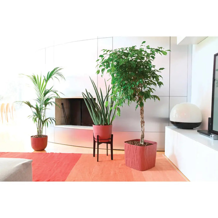 ПЛАСТМАСОВА КАШПA Ф30CM PLASTECNIC NATURE POT 30