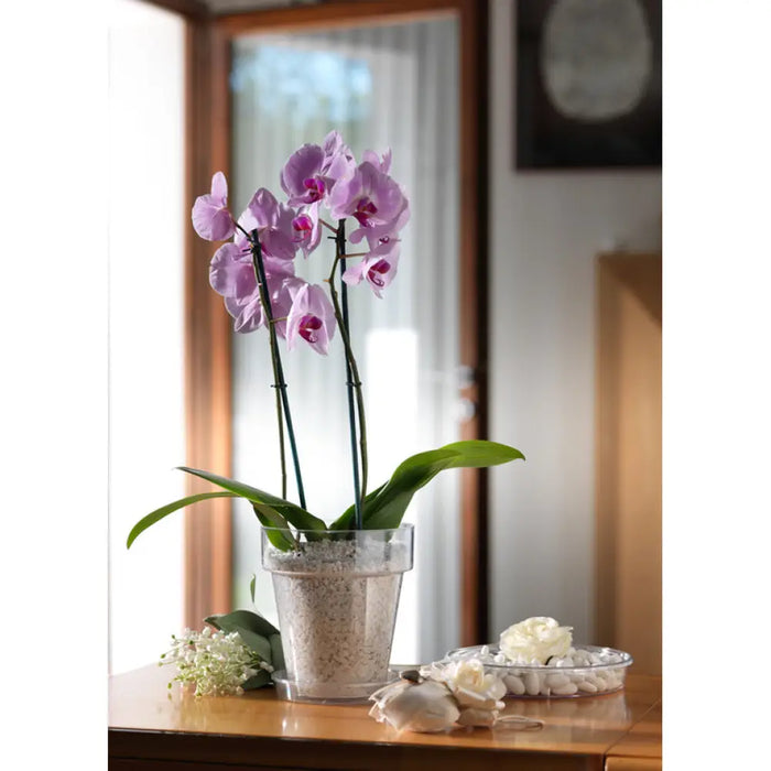 ПЛАСТМАСОВА КАШПА Ф20CM TERA PORTO