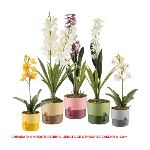 ПЛАСТМАСОВА САКСИЯ Ф13CM HD DORA