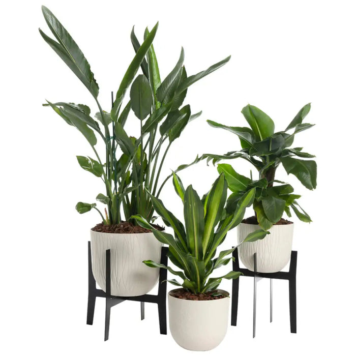 ПЛАСТМАСОВА КАШПA Ф30CM PLASTECNIC NATURE POT 30