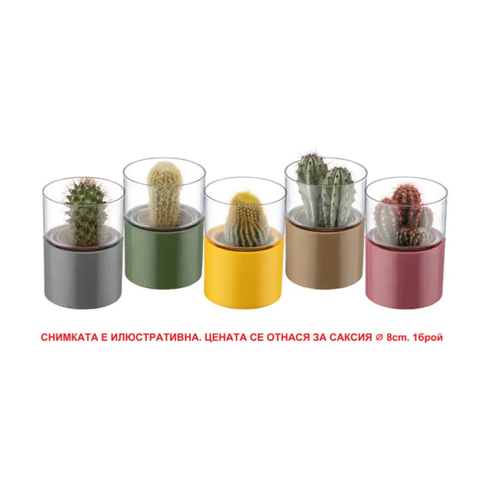 ПЛАСТМАСОВА САКСИЯ Ф8CM HD LANTANA