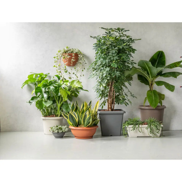 ПЛАСТМАСОВО САНДЪЧЕ 50CM PLASTECNIC TERRAE BOX