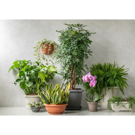 ПЛАСТМАСОВА САКСИЯ Ф25CM PLASTECNIC TERRAE BOWL