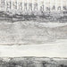 Пластно DKD Home Decor Бор Пластно 100 x 3,7 x 100 cm