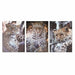 Пластно DKD Home Decor Пластно Дървен MDF 50 x 1,8 x 70 cm