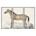 Пластно DKD Home Decor полистирен Пластно 180 x 4 x 120 cm