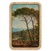 Пластно Gift Decor YX19F0006A7 YX19F0006A7 Дърво 2 x 60 x