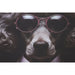 Пластно Home ESPRIT Пластно 80 x 3 x 120 cm