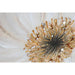 Пластно Home ESPRIT Пластно Дървен MDF 60 x 3 x 60 cm