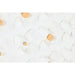 Пластно Home ESPRIT полистирен Пластно 100 x 3,5 x 100 cm
