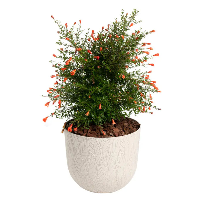 ПЛАСТМАСОВА КАШПA Ф30CM PLASTECNIC LEAF POT 30