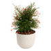 ПЛАСТМАСОВА КАШПA Ф30CM PLASTECNIC LEAF POT 30