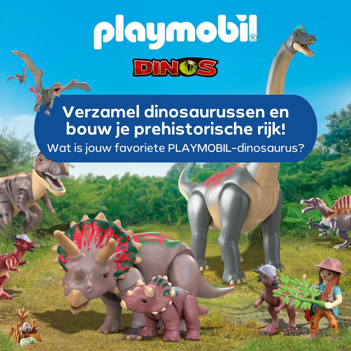 Playset Playmobil 58 Части