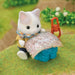 Playset Sylvanian Families Son and Baby Cat Latte - Secret