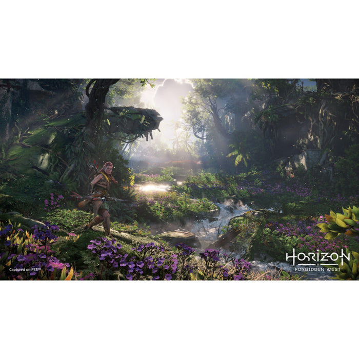 Игра Horizon Forbidden West (PS4)
