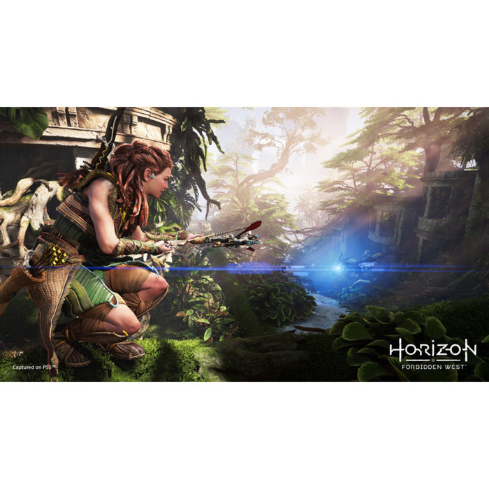 Игра Horizon Forbidden West (PS4)