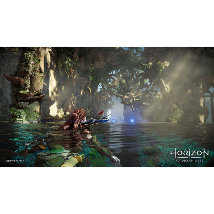Игра Horizon Forbidden West (PS5)