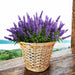 ПЛЕТЕНА КОШНИЦА L 27X33CM GARDEN STAR HD-10875-L