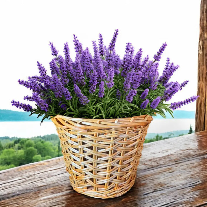 ПЛЕТЕНА КОШНИЦА S 19X21CM GARDEN STAR HD-10875-S