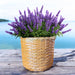 ПЛЕТЕНА КОШНИЦА S 24X28CM GARDEN STAR HD-10874-S