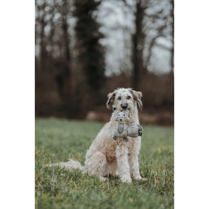 Плюшени Животни за кучета Hunter Бежов 100 % Рециклиран