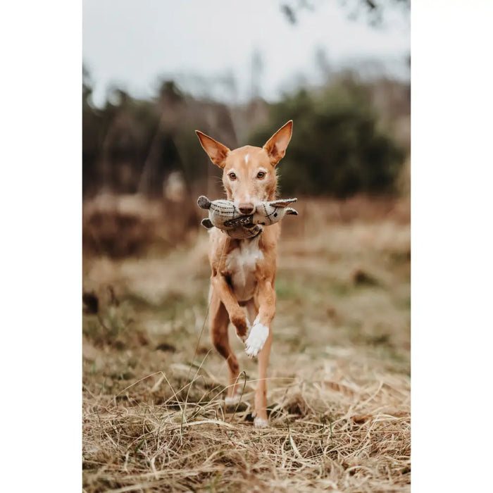 Плюшени Животни за кучета Hunter Бежов 100 % Рециклиран